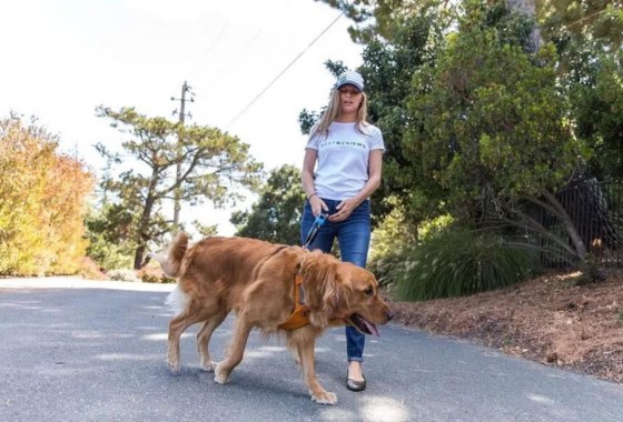 6 dog-walking must-haves