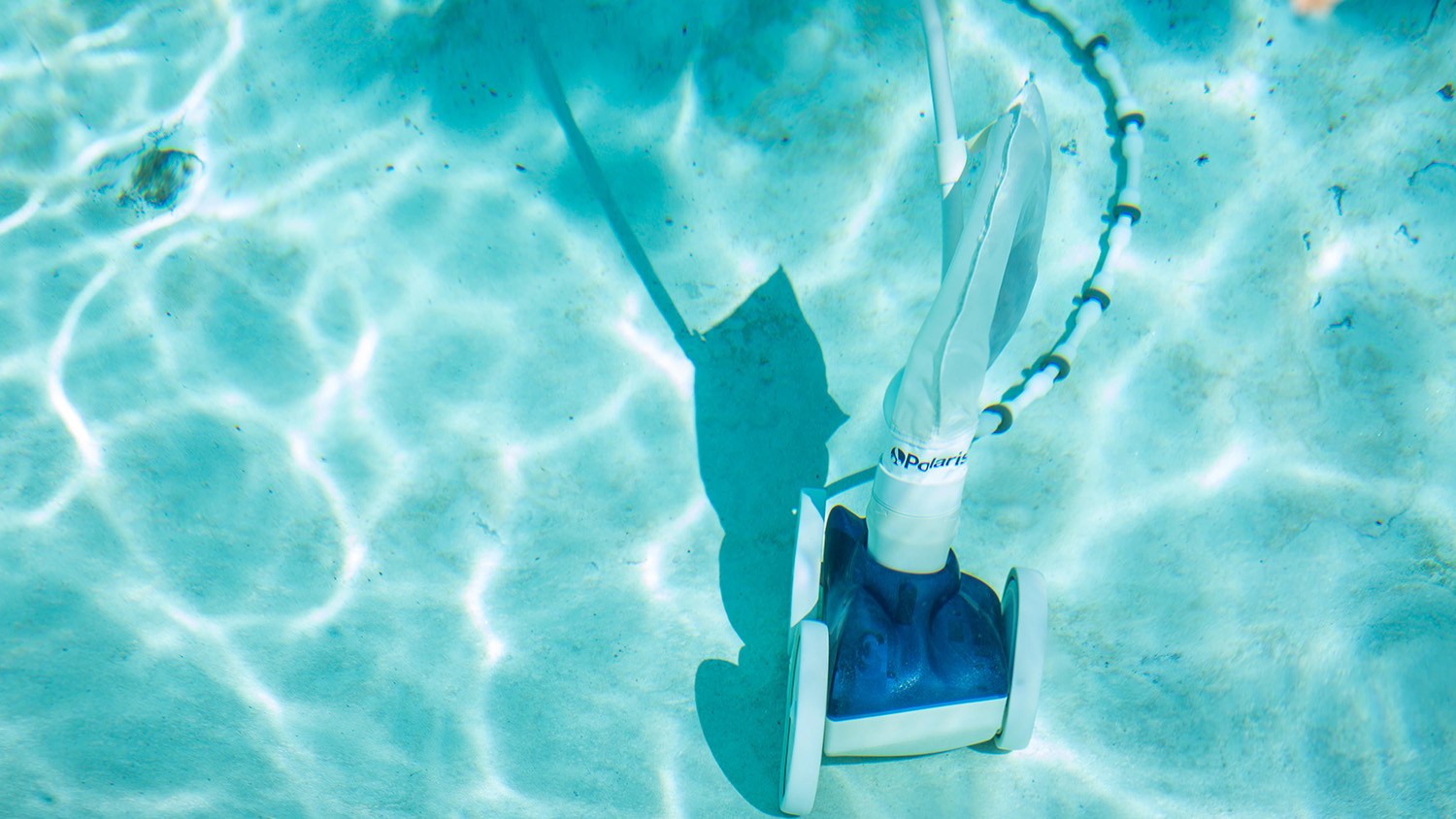 Dolphin vs. Polaris pool cleaners: Which brand is best?