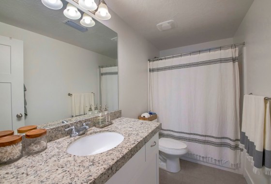 Best gray and white shower curtain