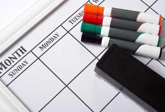Best dry-erase wall calendar