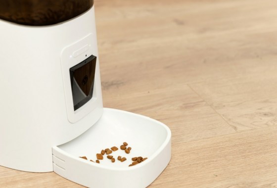 Best smart device for dogs