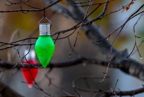 Best solar Christmas light