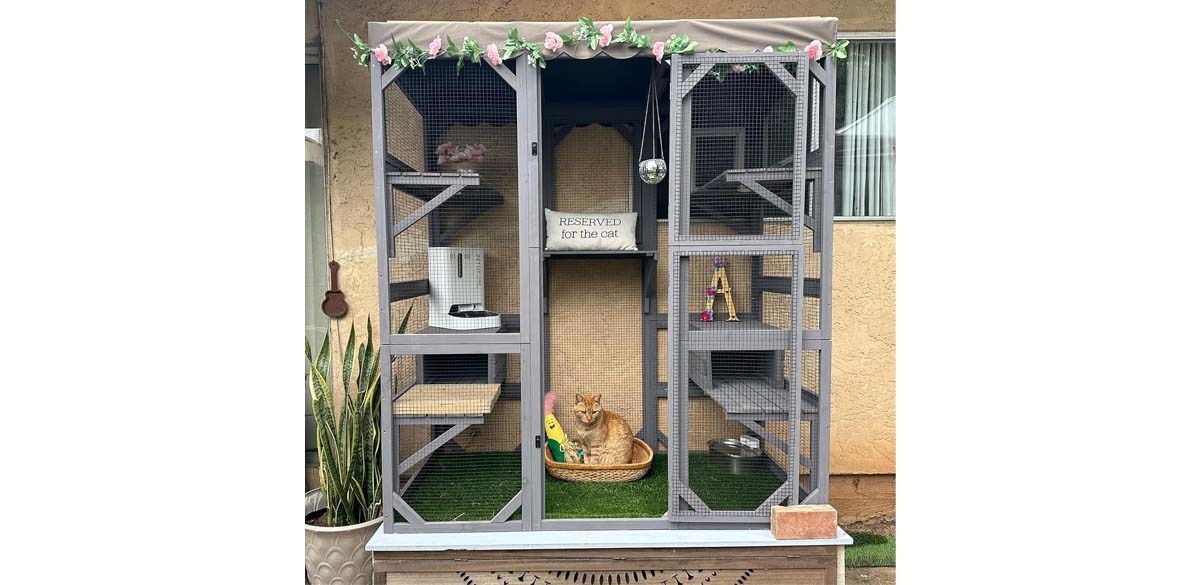 Aivituvin Cat House Outdoor Catio Kitty Enclosure