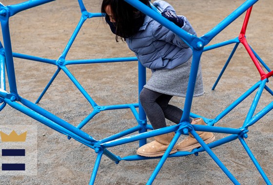 The best large dome climbers