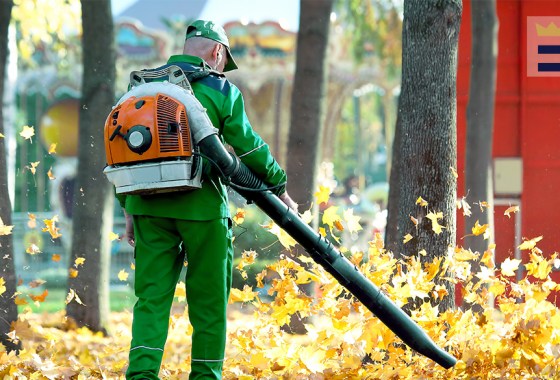 Greenworks leaf blower vs. sweeper vs. vacuum