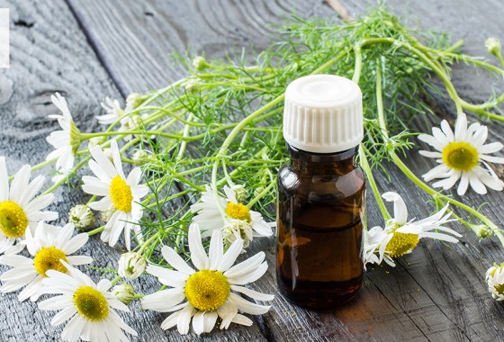 What is chamomile essential oil good for?