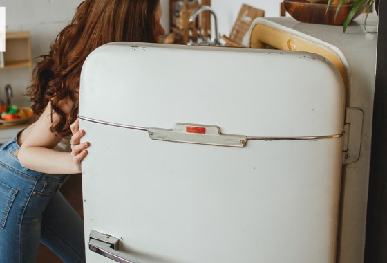 Evolution of the refrigerator