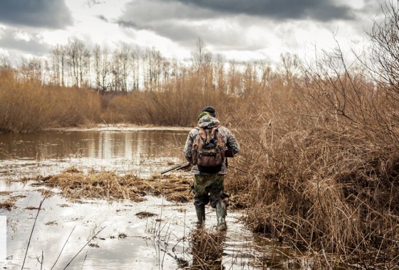 Beginner's guide to duck hunting: Everything you need to get started