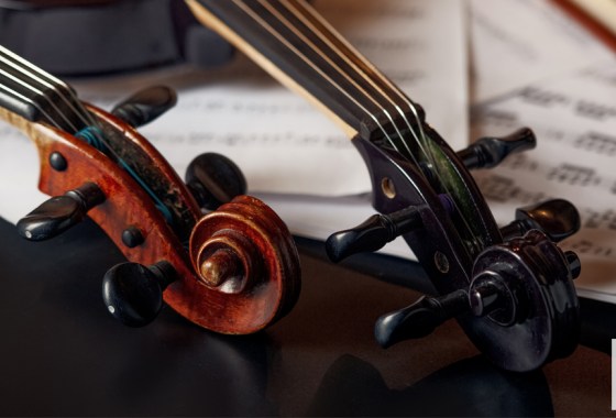 Best electric cello