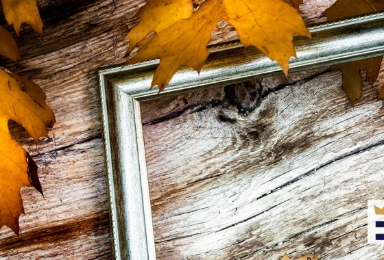 Best fall tree painting