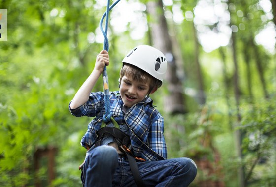 Best tree climbing harness