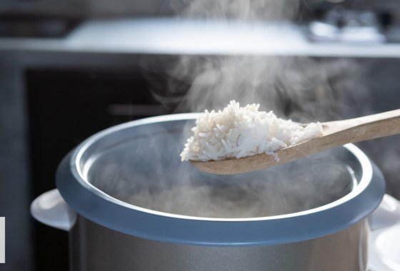 Best stainless steel rice cooker