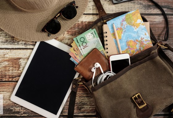 Best travel purse