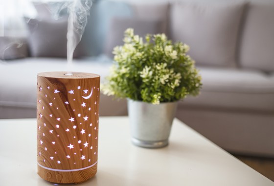 The best high-end travel humidifier