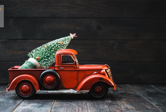 Best Christmas truck decor