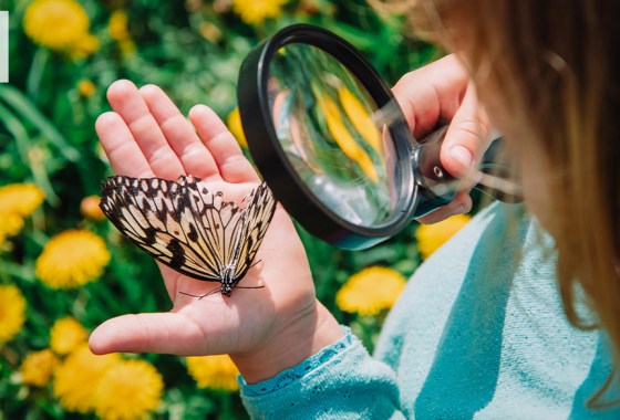 Best kids' magnifying glass
