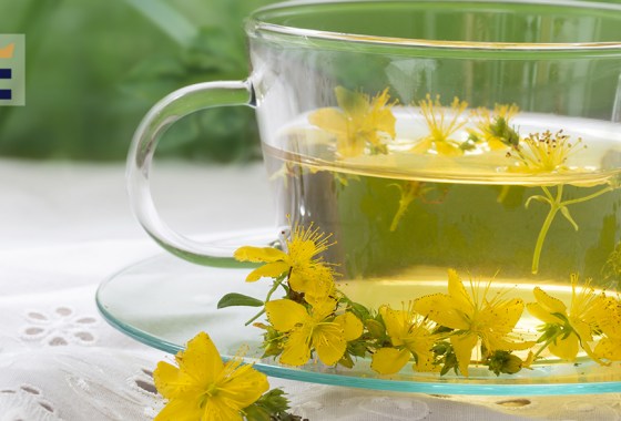Best St. John's wort tea