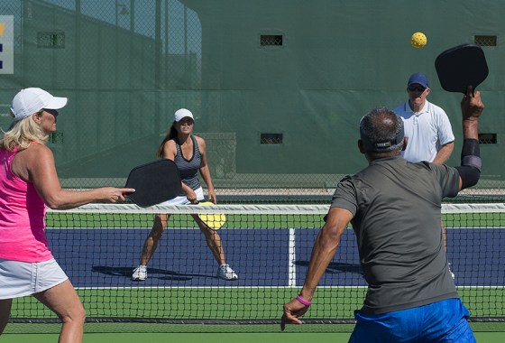 Best pickleball set