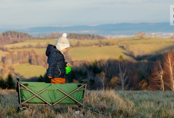 Best kids' wagon