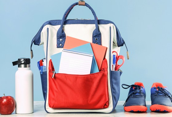 Best Wonder Woman backpack