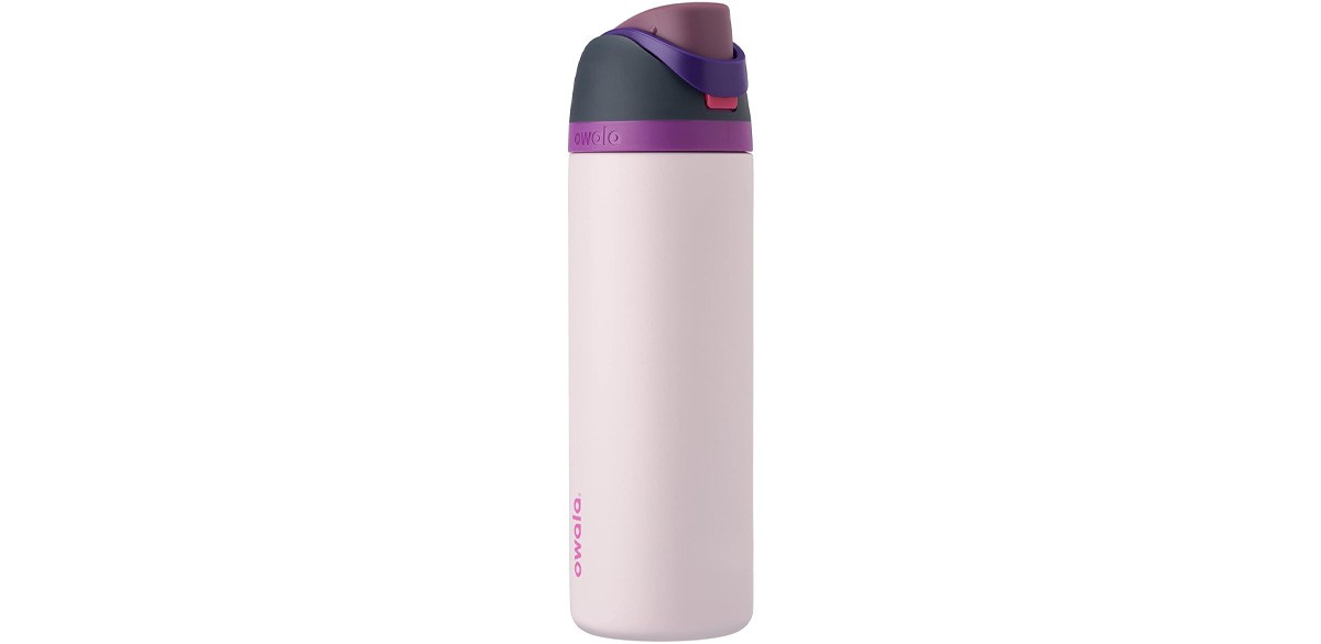 Owala FreeSip Insulated Stainless Steel Water Bottle with Straw