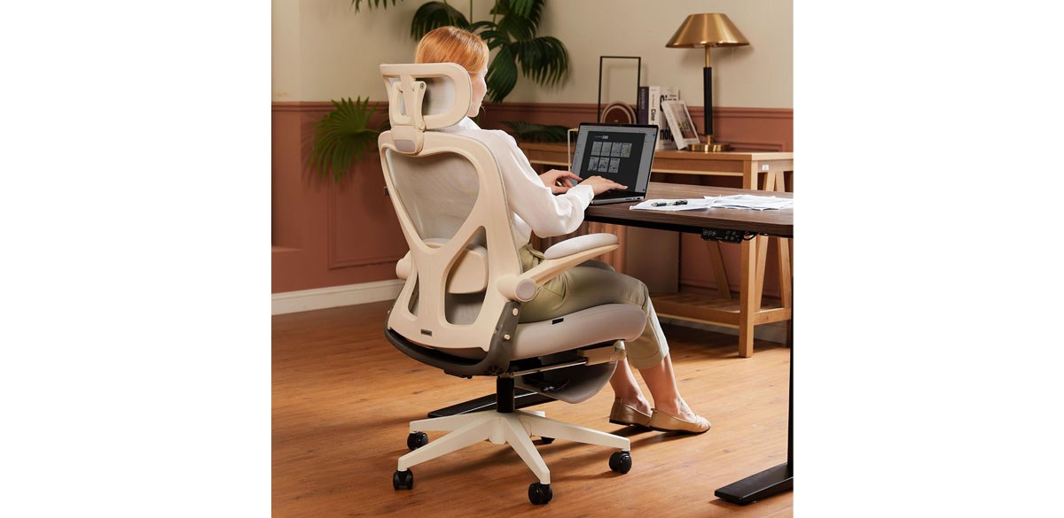 FLEXISPOT Foldex Ergonomic Office Chair