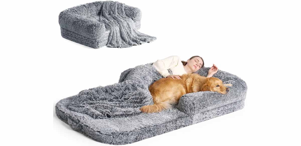 EHEYCIGA Foldable Human Dog Bed, Gray