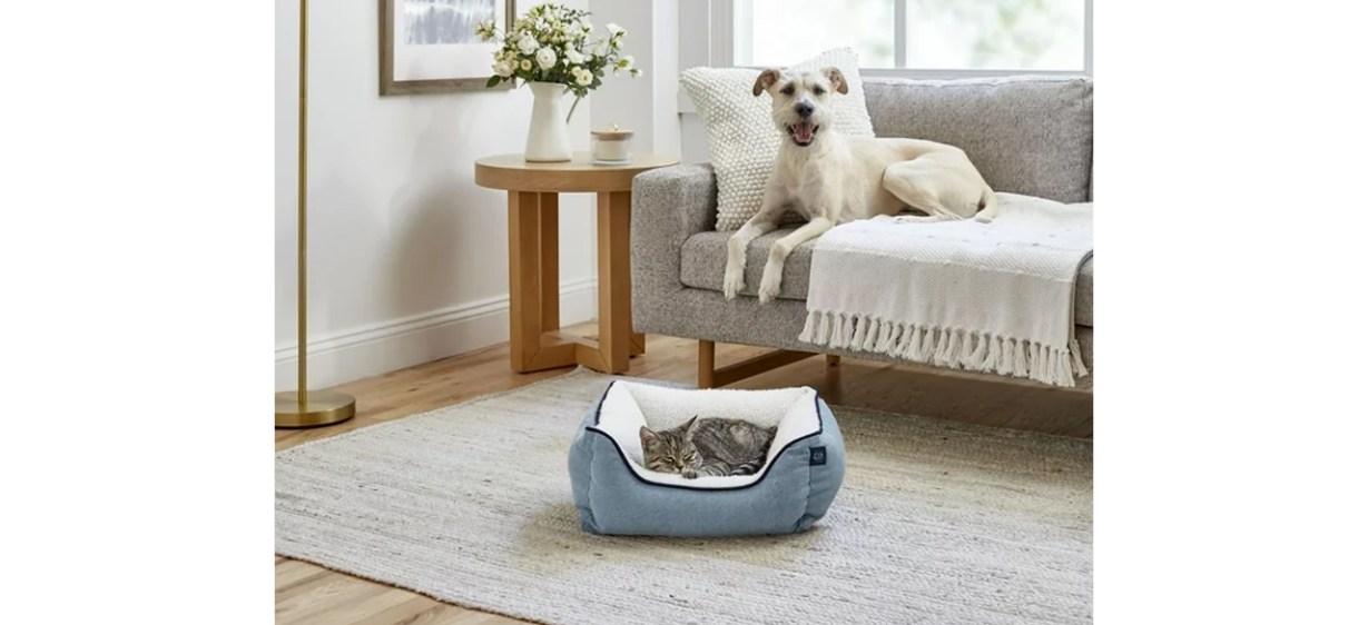 Cat sleeping in Gap Washed Denim Cuddler Pet Bed with dog on sofa