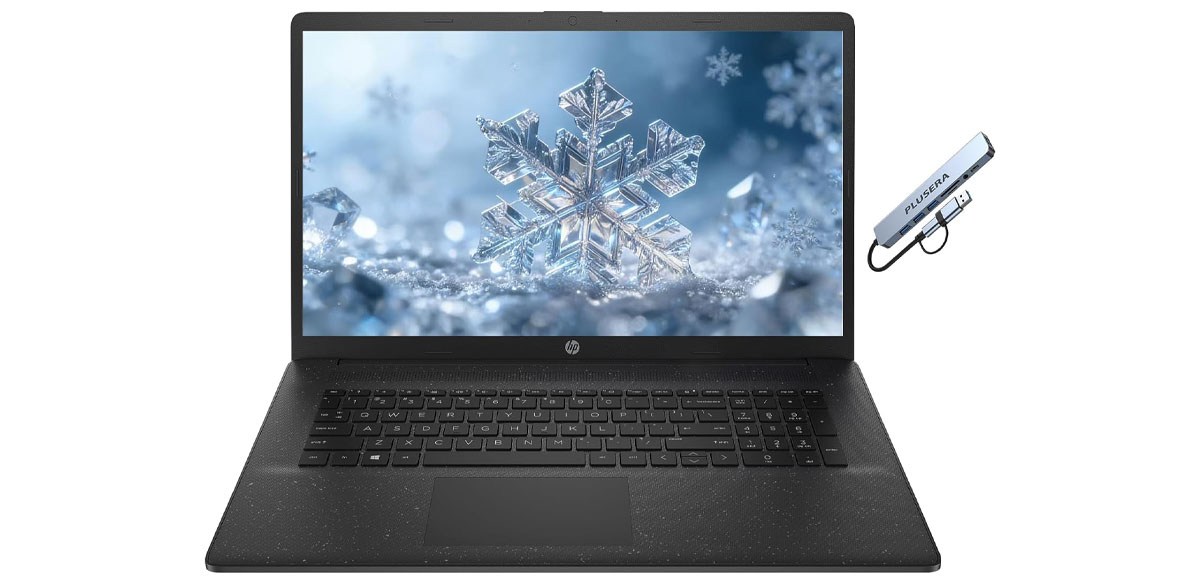 HP 17.3 Business Laptop Computer, Intel 10