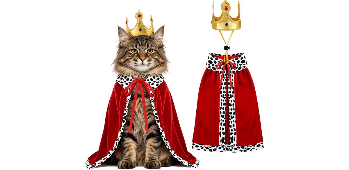 Cat Halloween Costumes King Costume