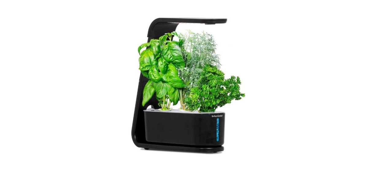 black indoor herb garden with grow lights and herbs inside of it