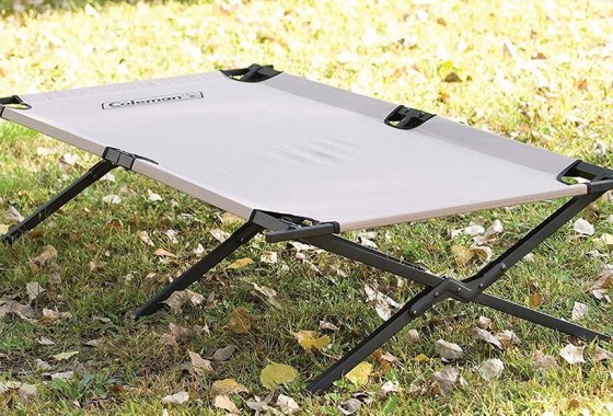 The best Coleman cot