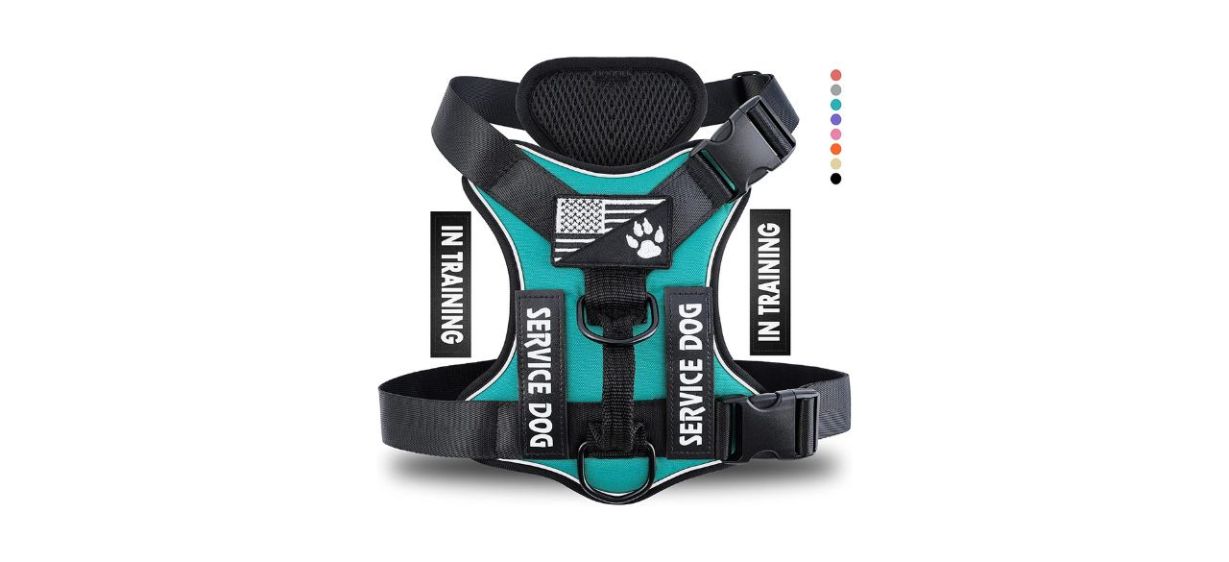 Best Demigreat Service Dog Harness