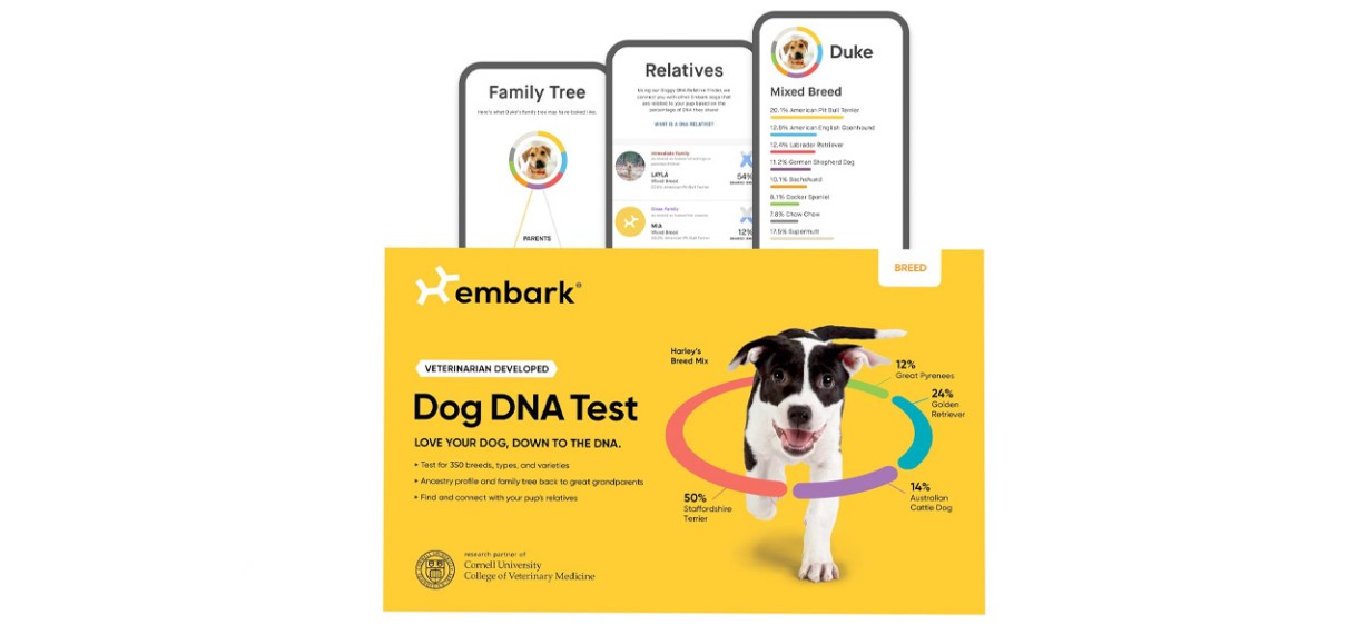 Embark Dog DNA Test