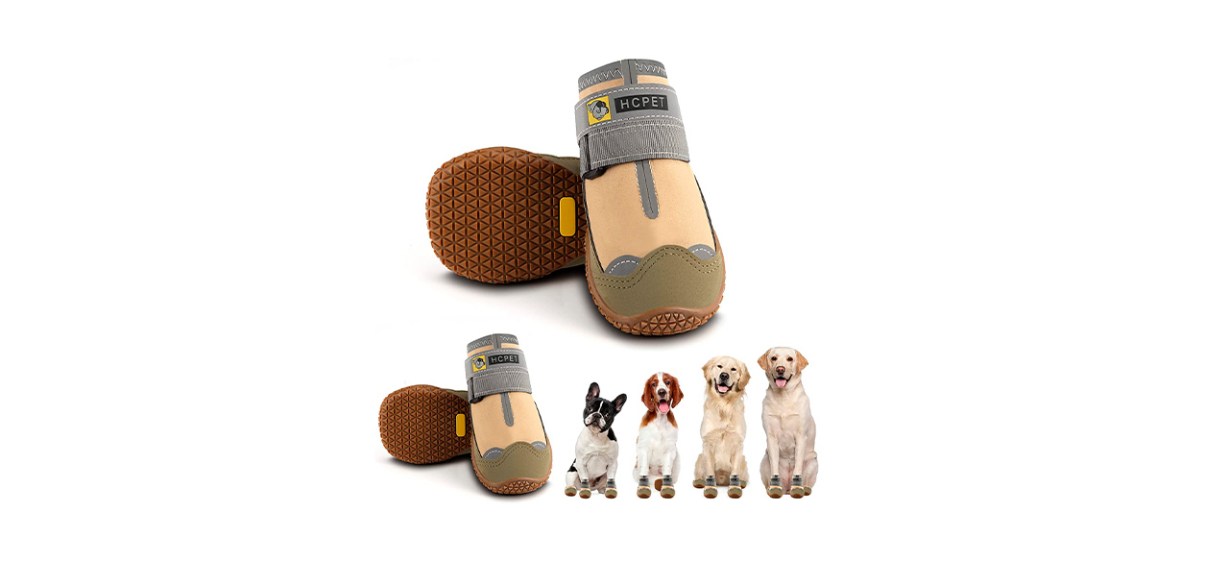 Best HCPet Dog Shoes