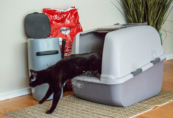 Best Litter Genie product