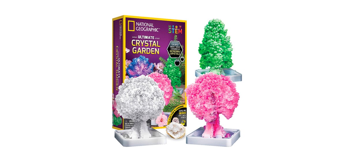 Best National Geographic Crystal Growing Kit