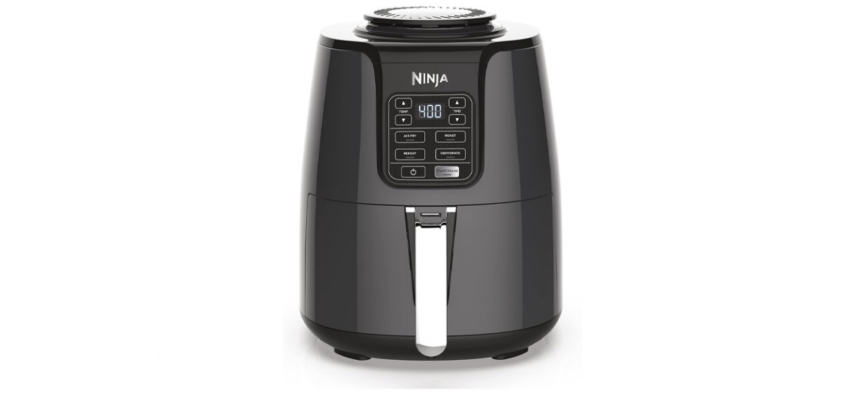 Best Ninja Air Fryer