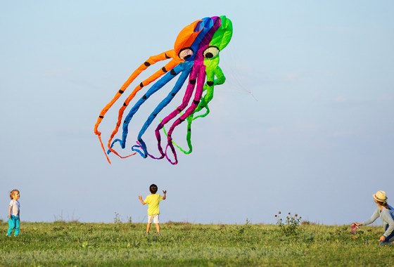 Best octopus kite