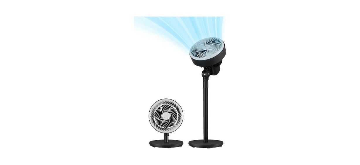 Best Pelonis 2-in-1 Air Circulator Fan