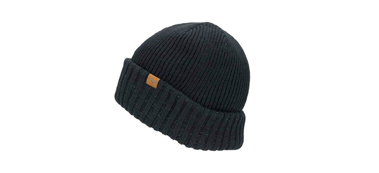 Best Sealskinz Waterproof Cold-Weather Roll-Cuff Beanie
