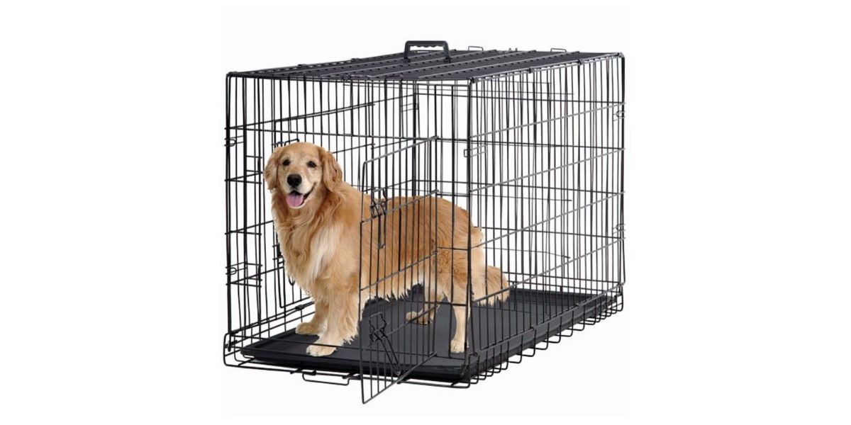 BestPet 48 inch Foldable Metal Dog Crate