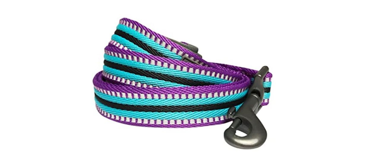 Best Blueberry Pet 3M Reflective Dog Leash