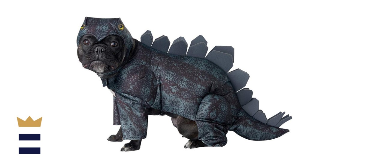 California Costumes Pet Stegosaurus Dog Costume