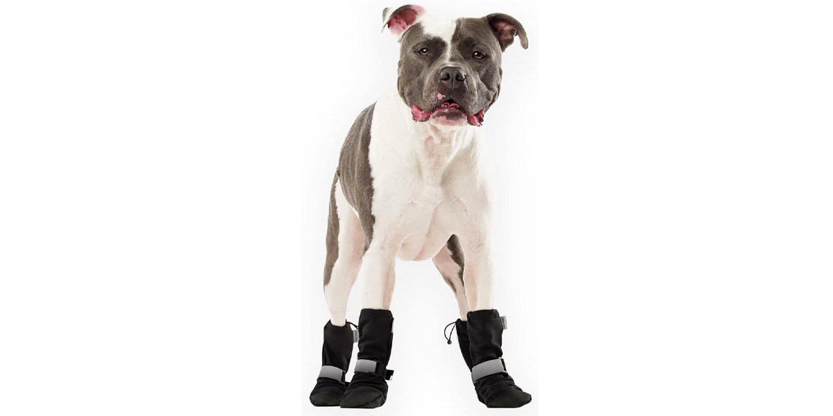Canada Pooch Dog Winter Boots