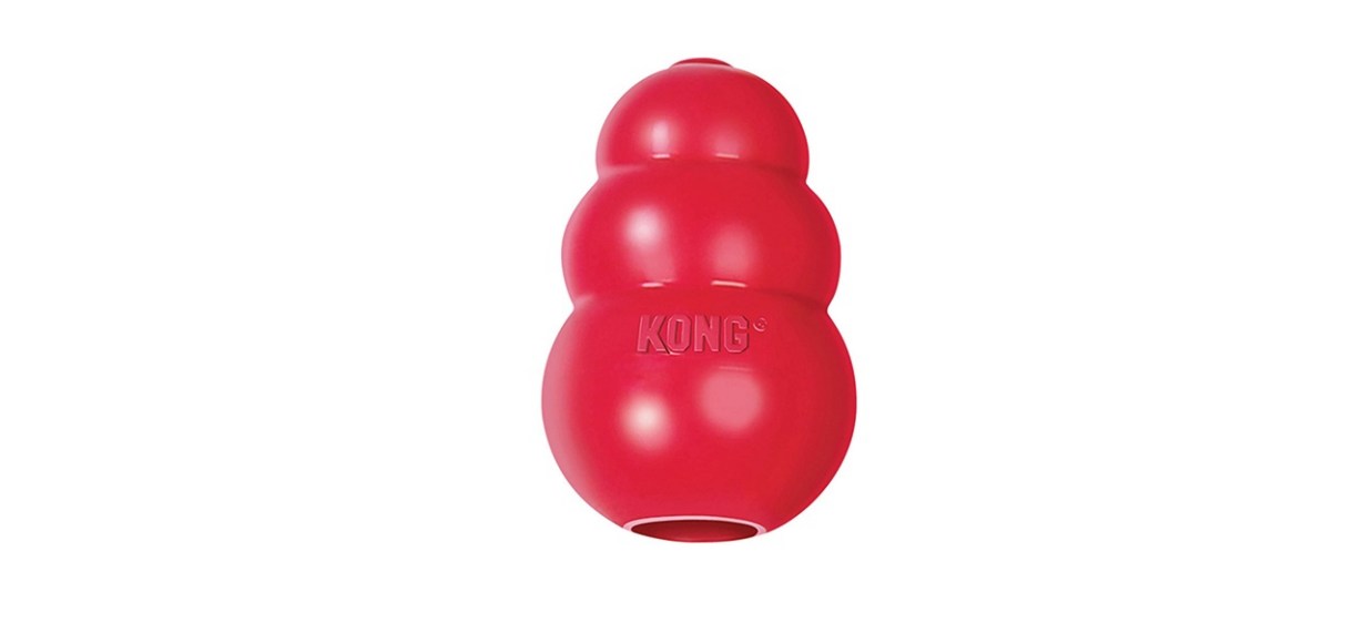 Classic Kong Dog Toy