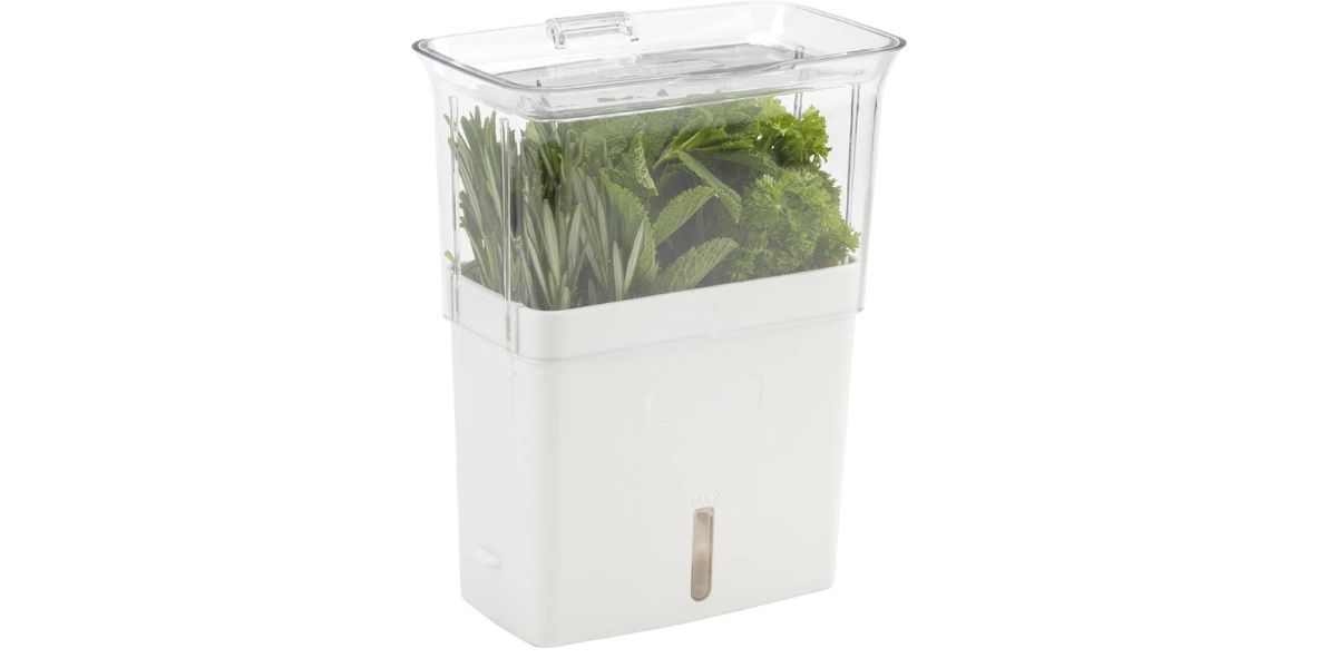 Cole &amp; Mason Fresh Herb Keeper