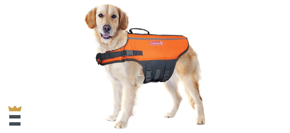 Coleman Dog Life Jacket