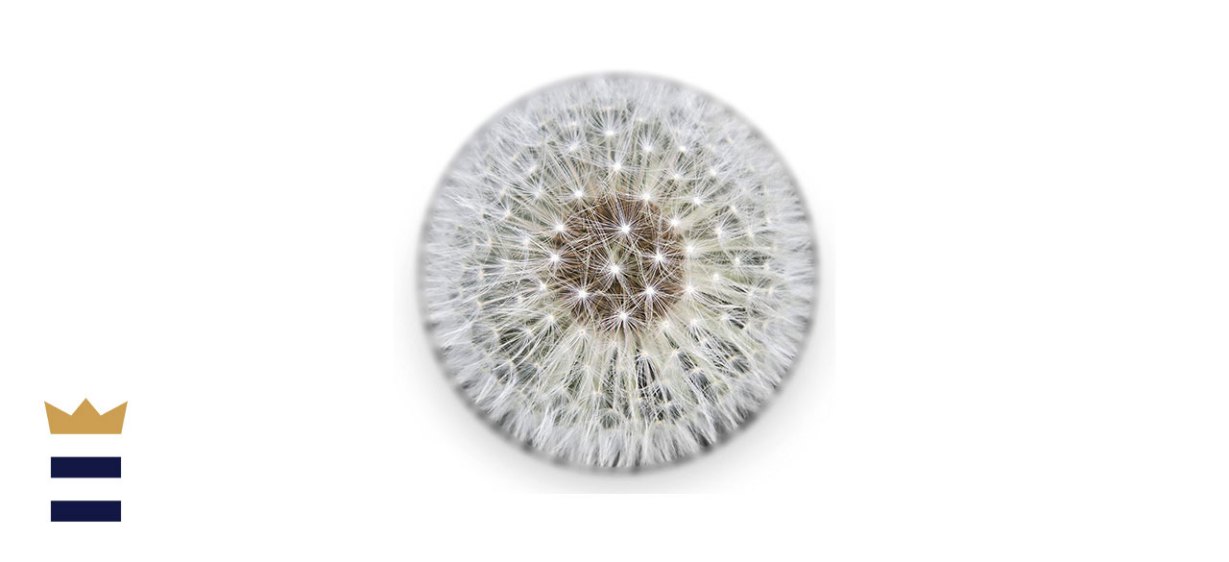 Dandelion Collective Paperweight 