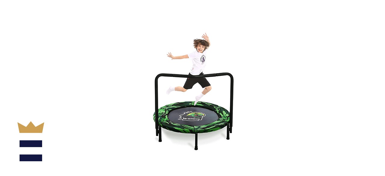 Dinosaur Mini Trampoline